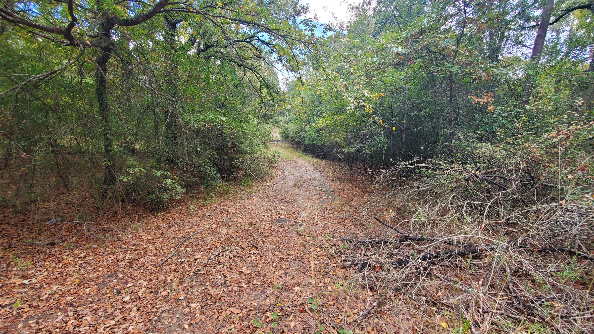 0 Apache Trail Log Cabin TX 75148