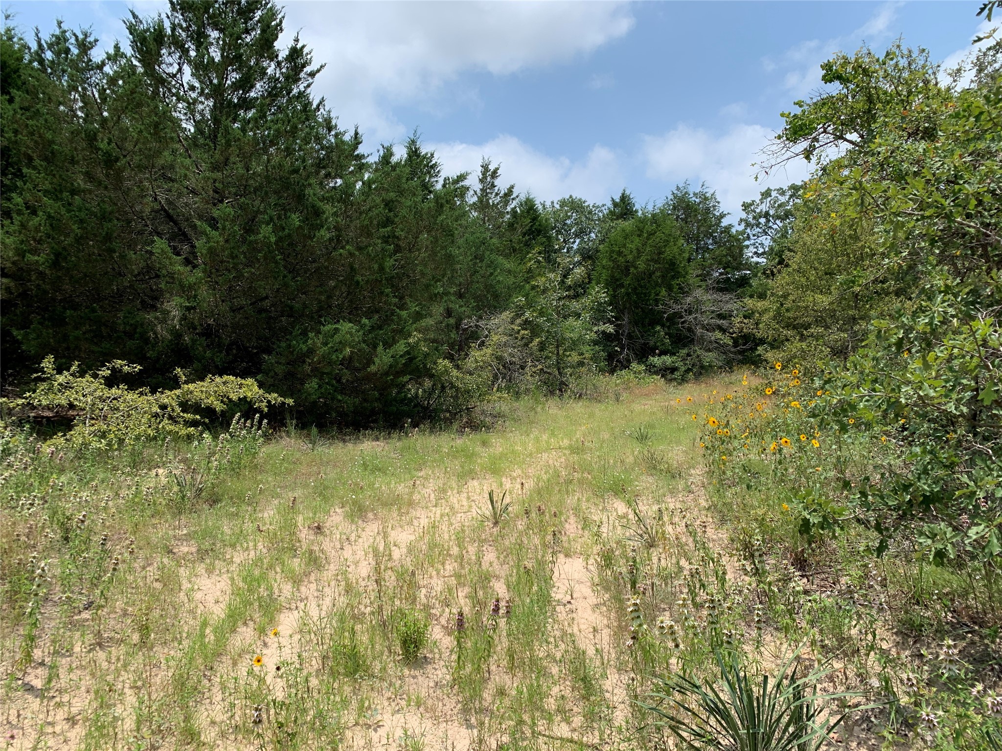 Tbd Fm 2494 Athens TX 75751