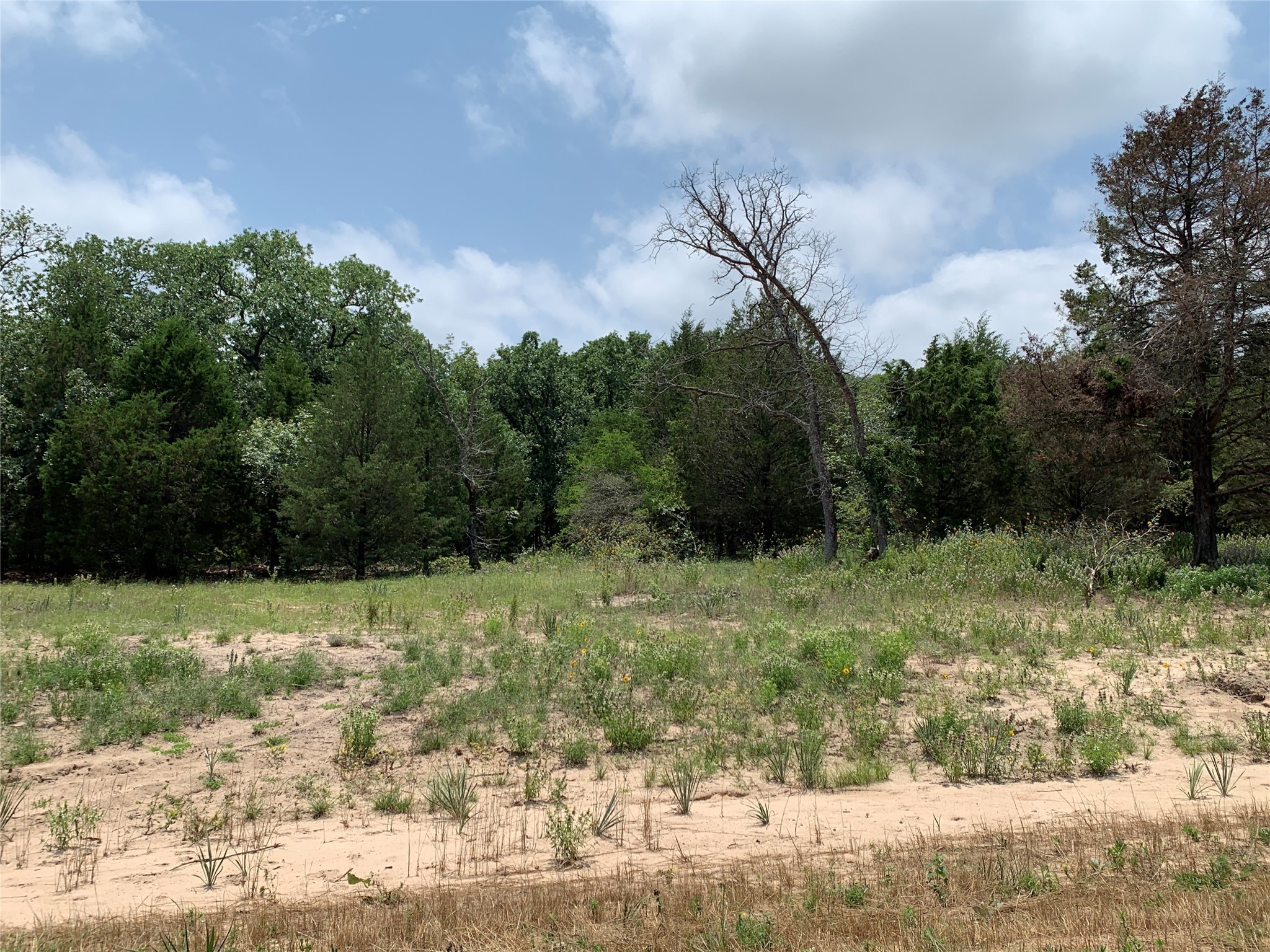 Tbd Fm 2494 Athens TX 75751