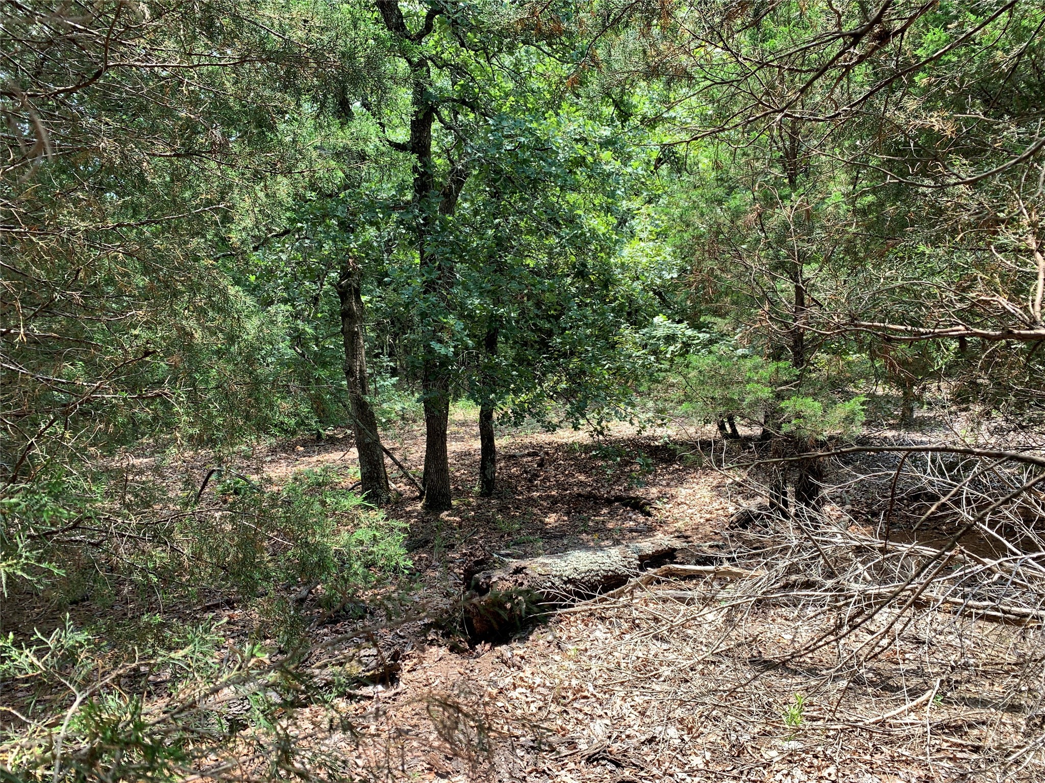 Tbd Fm 2494 Athens TX 75751