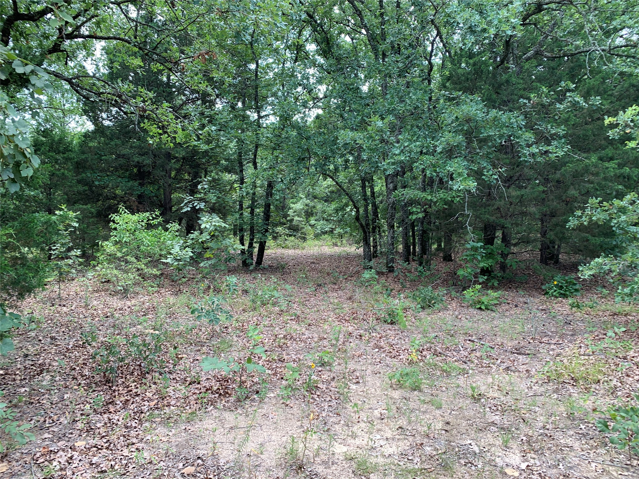 Tbd Fm 2494 Athens TX 75751