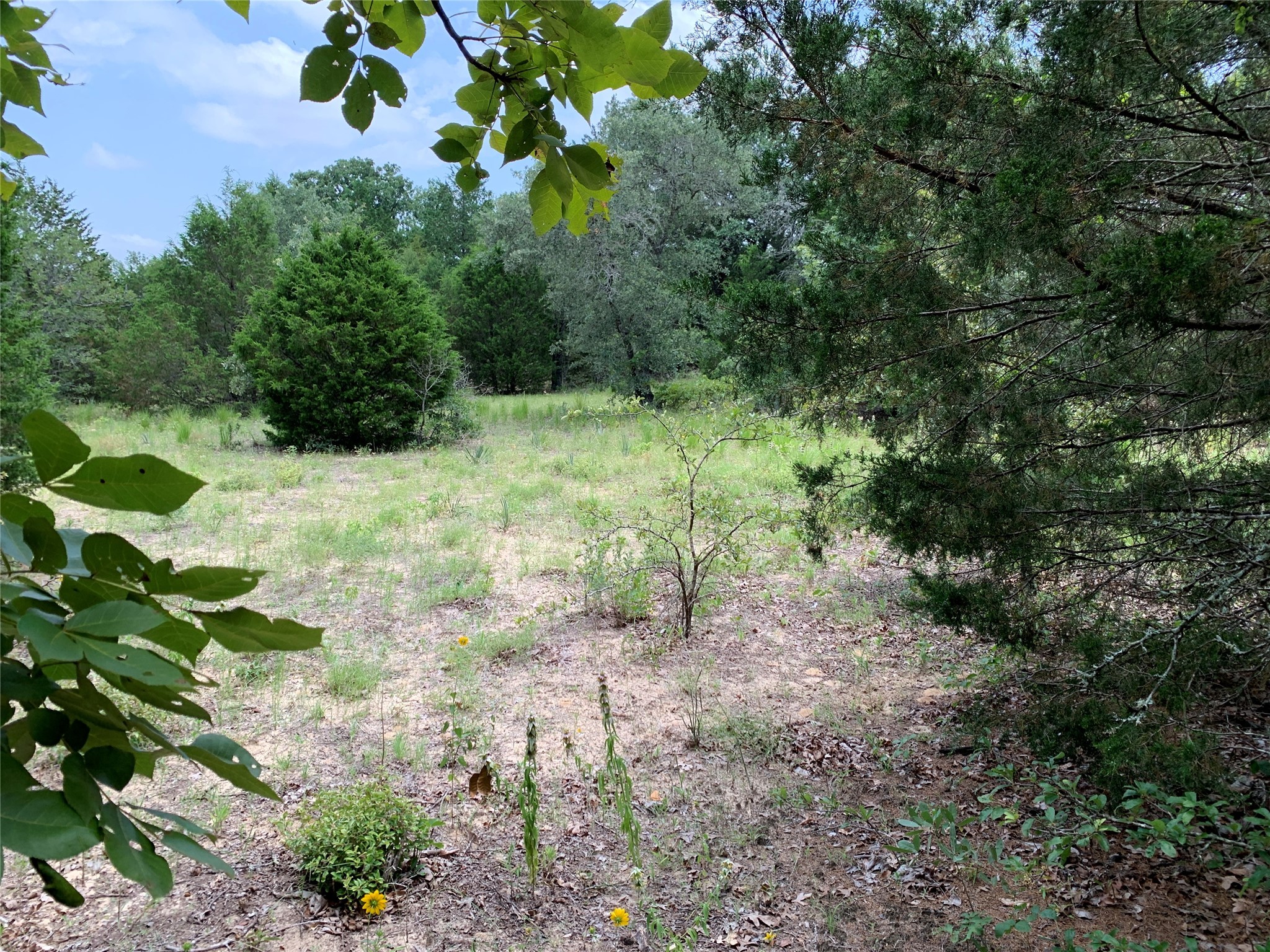 Tbd Fm 2494 Athens TX 75751