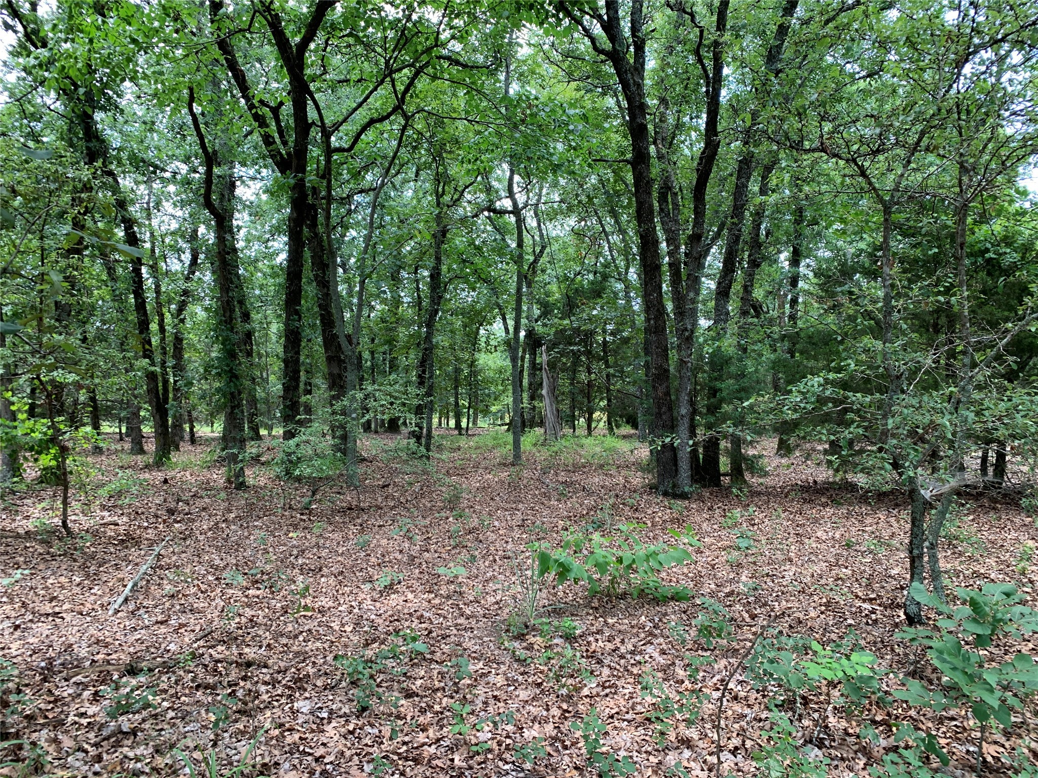 Tbd Fm 2494 Athens TX 75751