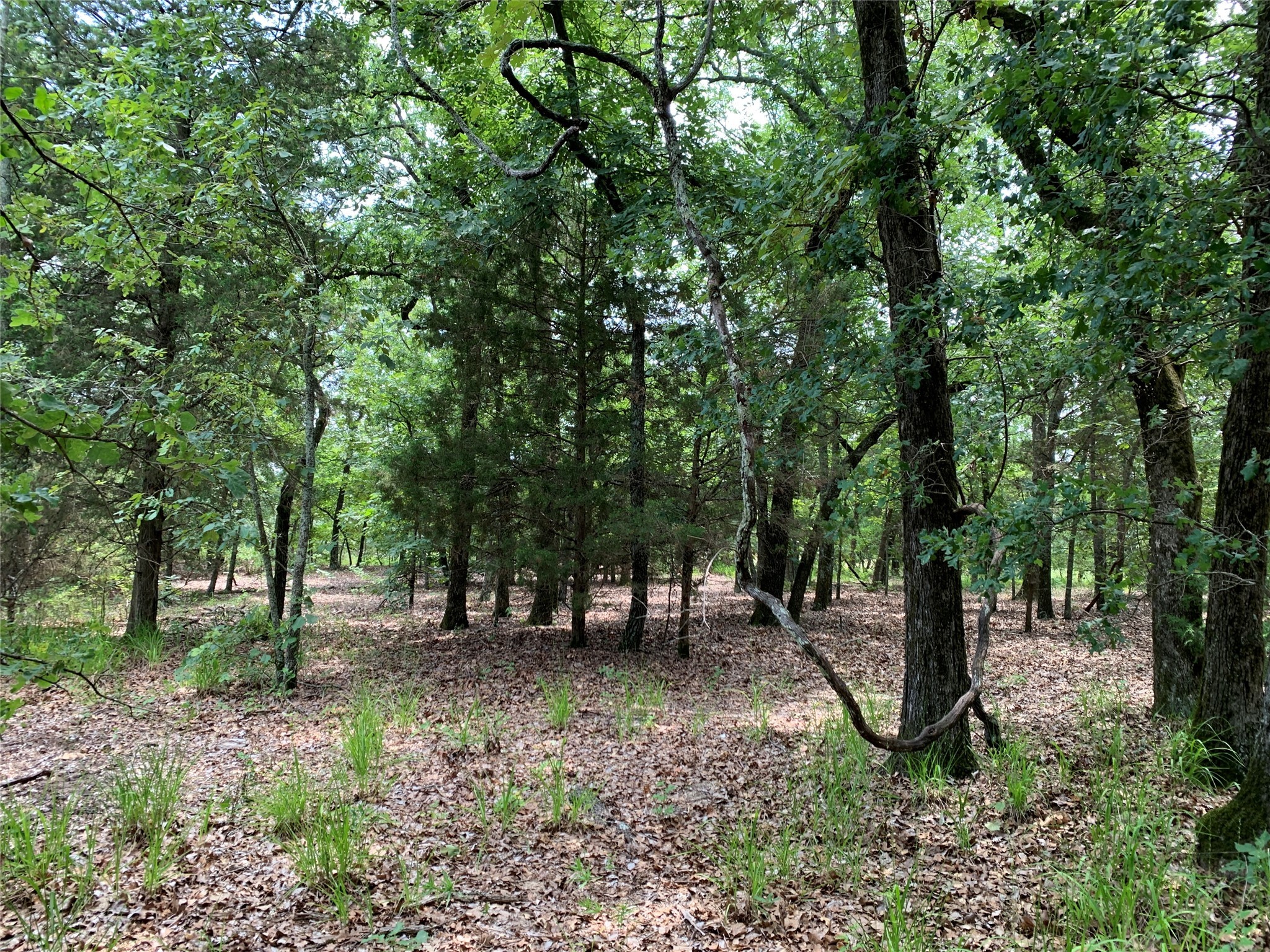 Tbd Fm 2494 Athens TX 75751