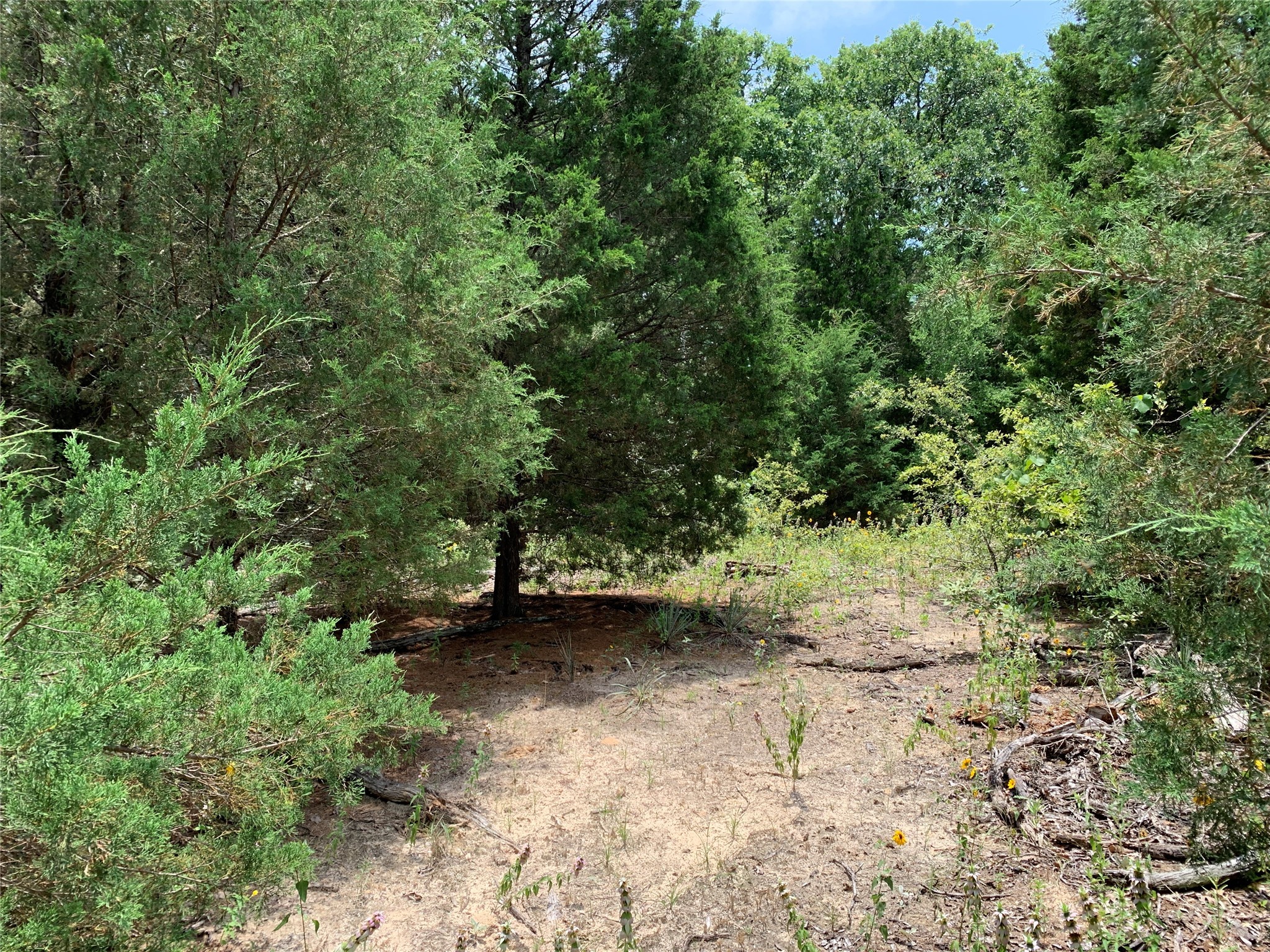Tbd Fm 2494 Athens TX 75751