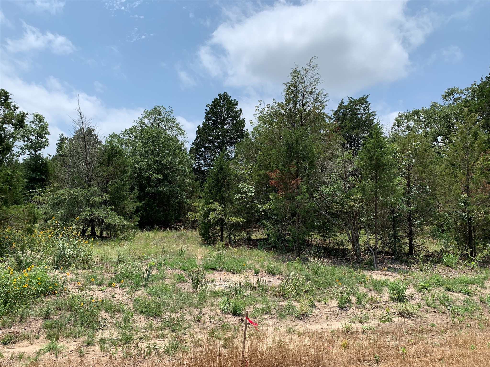 Tbd Fm 2494 Athens TX 75751