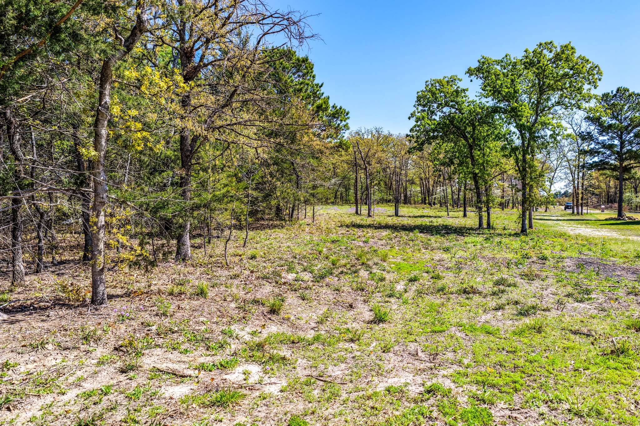 Tbd Lot 49 Private Road 6305 Mineola TX 75773