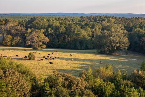 973 County Road 2572 Center TX 75935