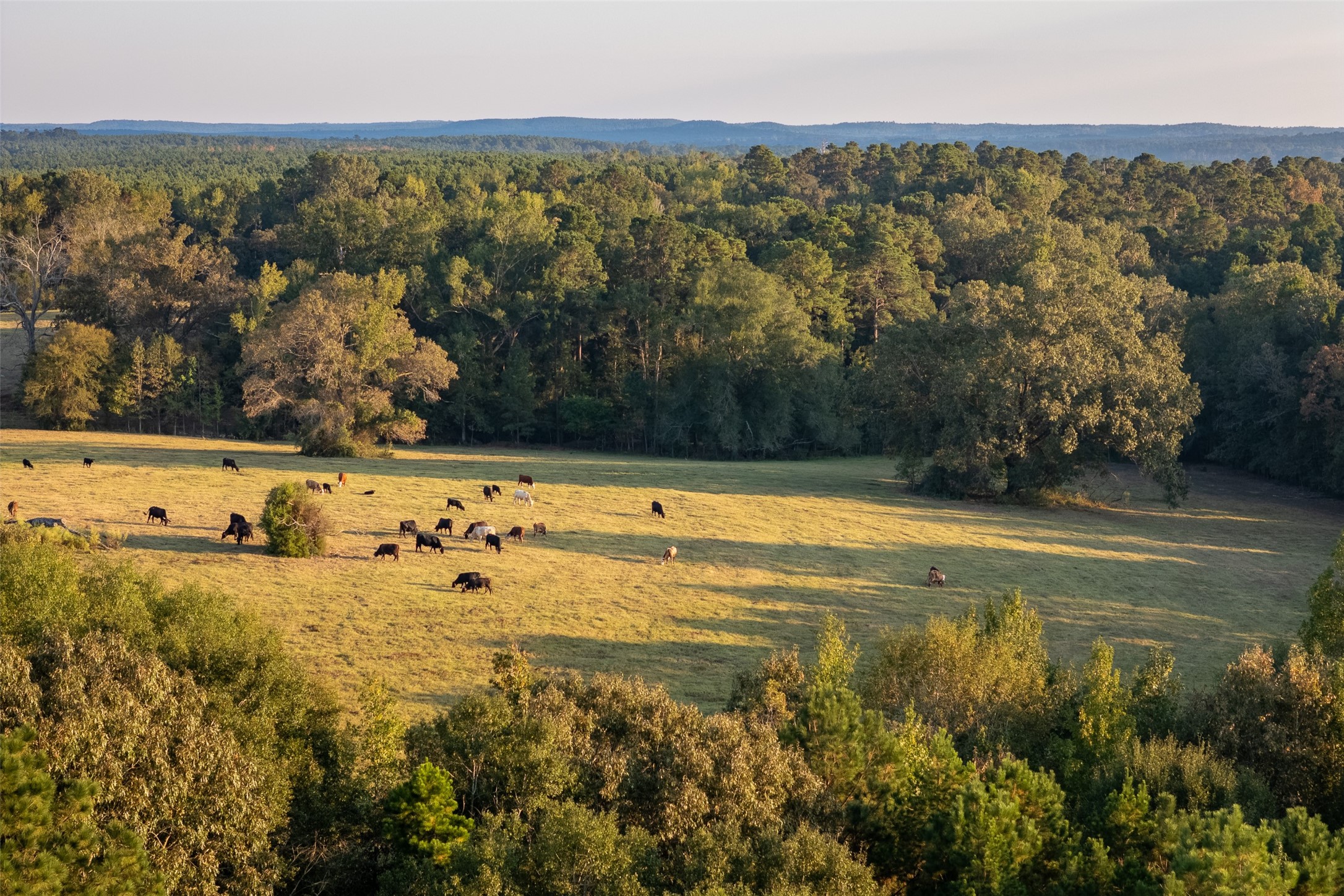 973 County Road 2572 Center TX 75935