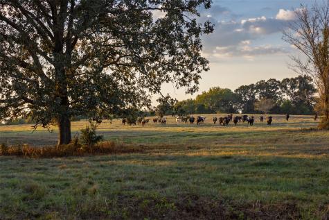 973 County Road 2572 Center TX 75935