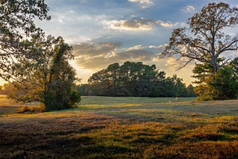 973 County Road 2572 Center TX 75935