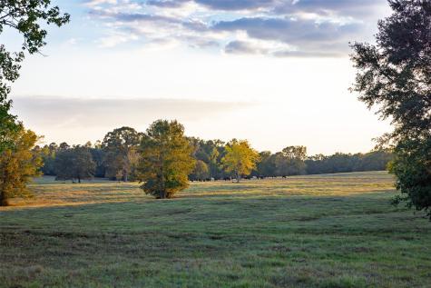 973 County Road 2572 Center TX 75935
