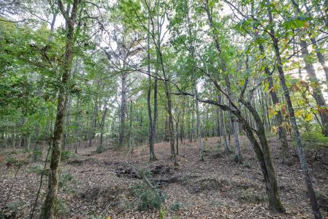 973 County Road 2572 Center TX 75935