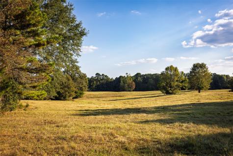 973 County Road 2572 Center TX 75935