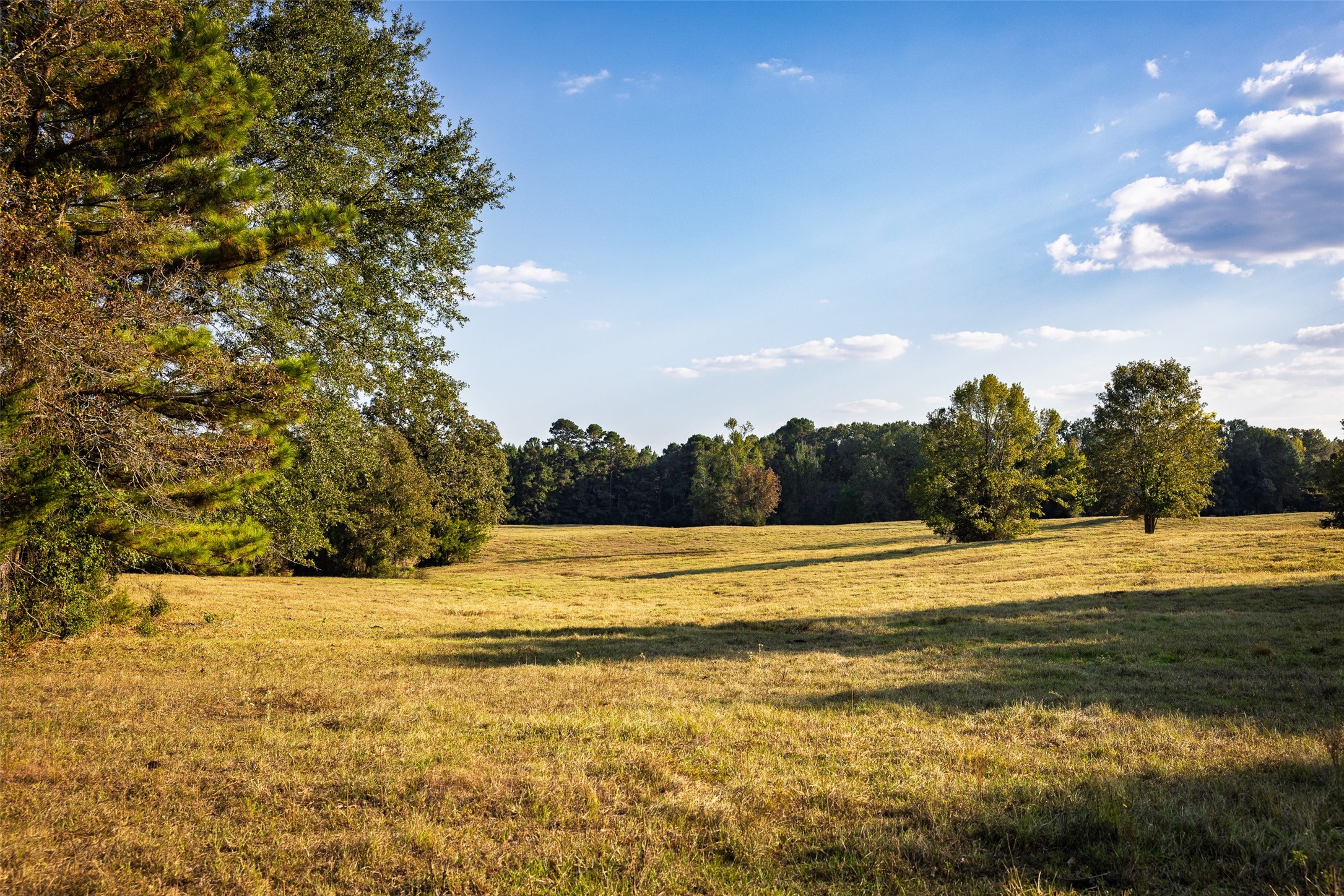 973 County Road 2572 Center TX 75935