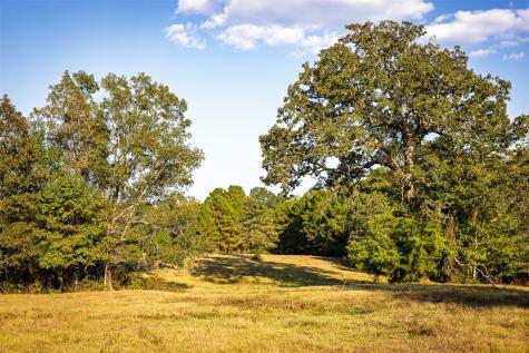973 County Road 2572 Center TX 75935