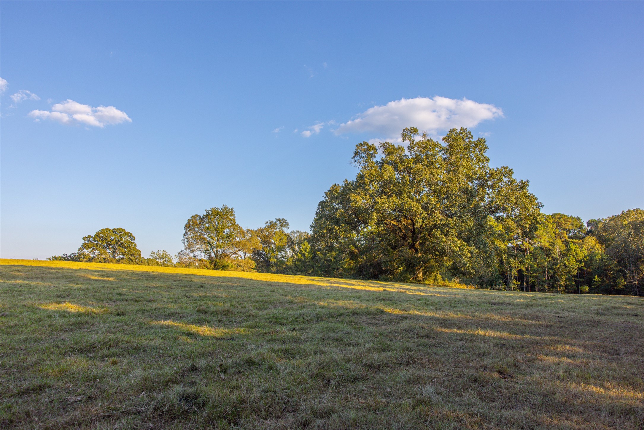 973 County Road 2572 Center TX 75935