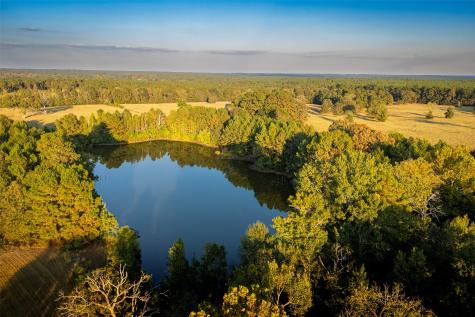 973 County Road 2572 Center TX 75935