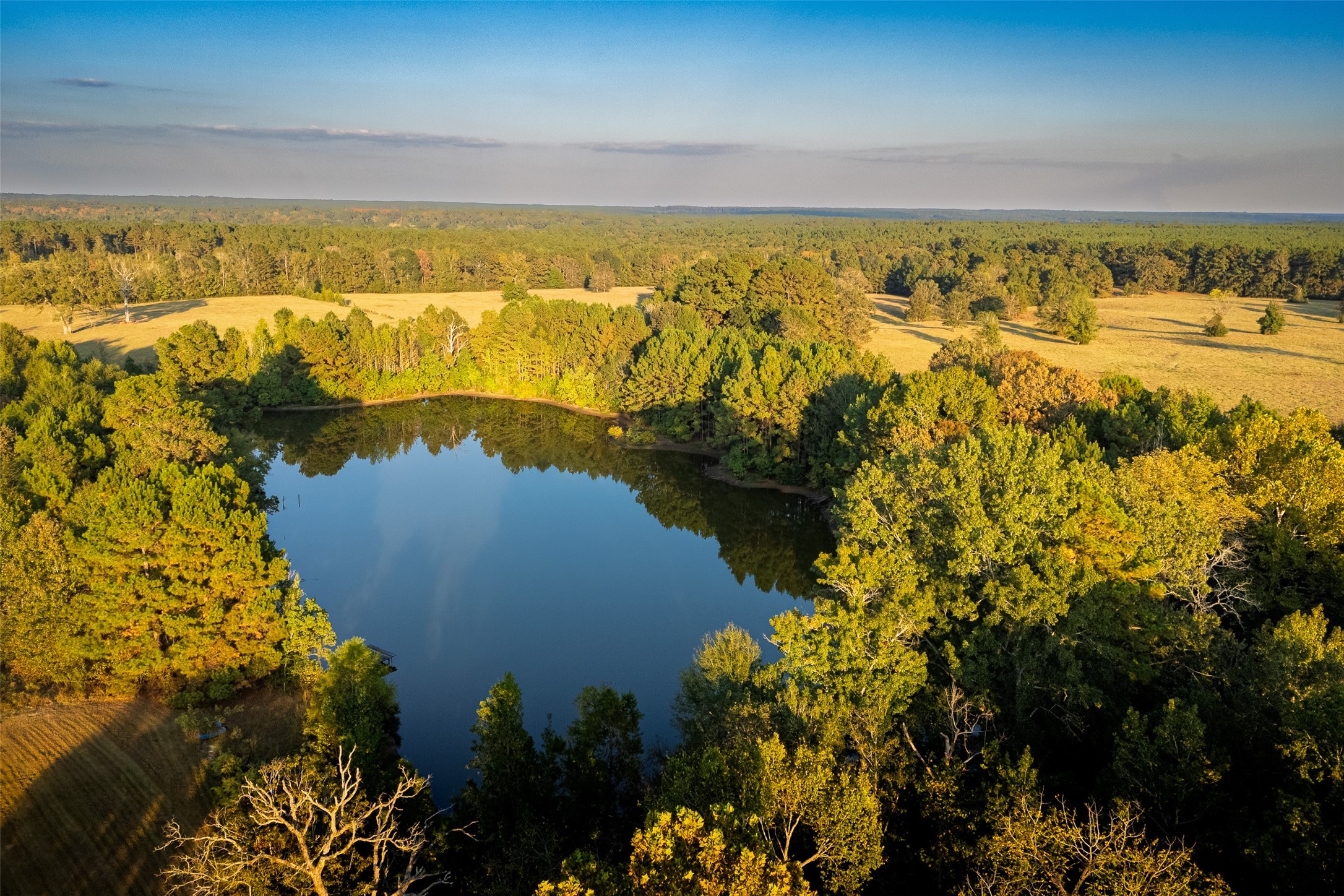 973 County Road 2572 Center TX 75935