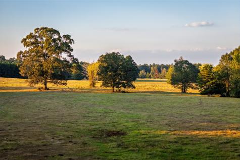 973 County Road 2572 Center TX 75935