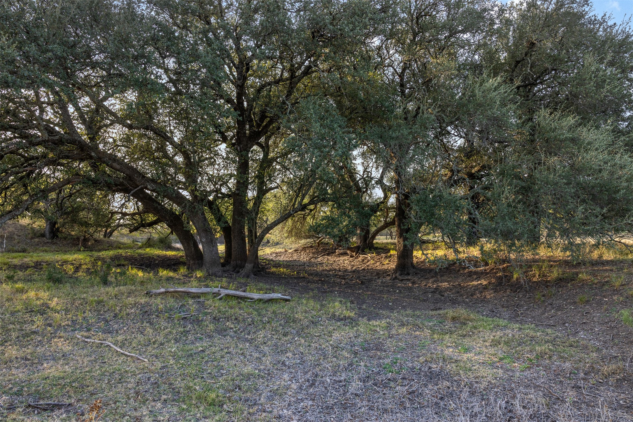 Tract 3 Tbd Cr 424 Rochelle TX 76872