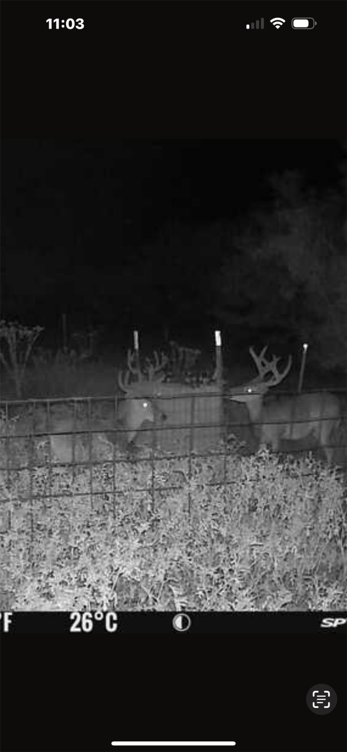 Tract 3 Tbd Cr 424 Rochelle TX 76872