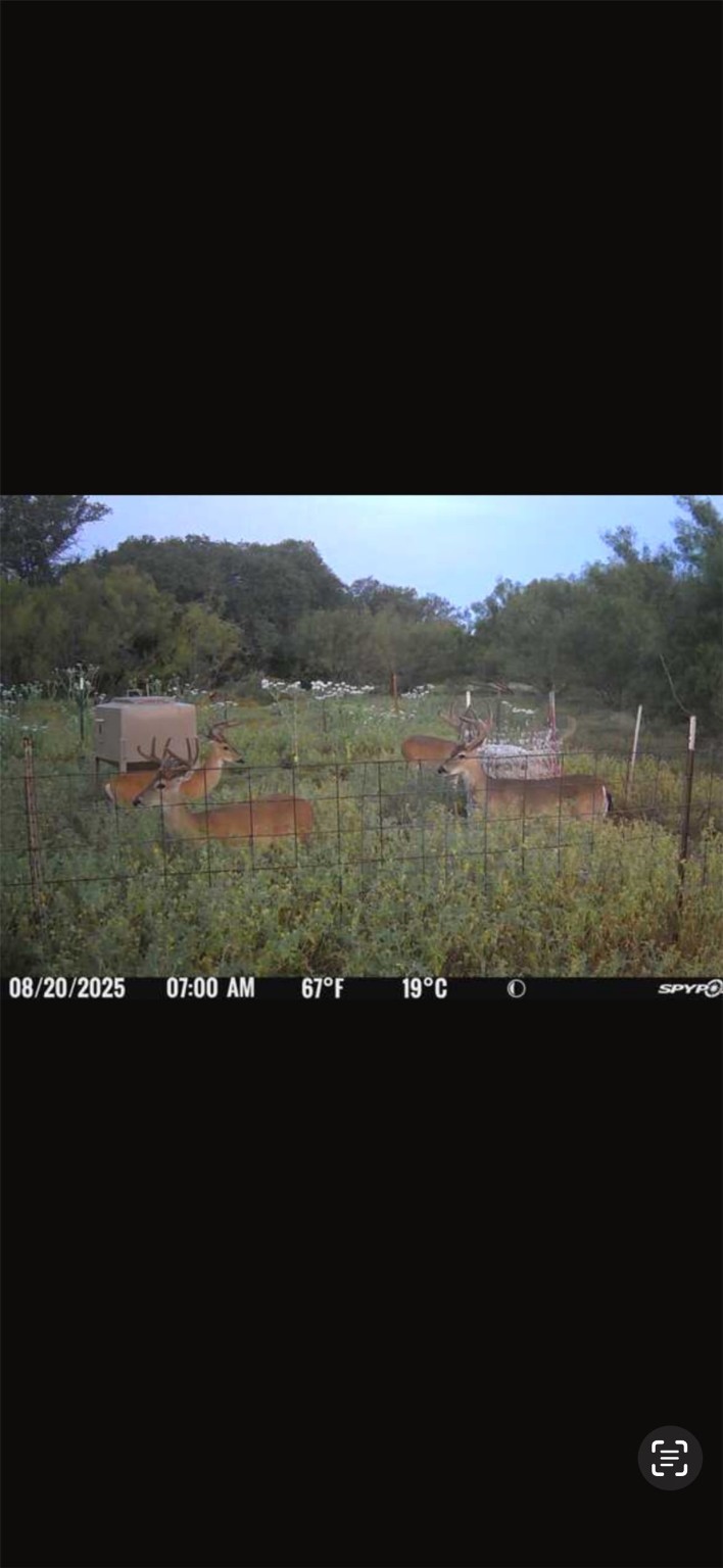 Tract 3 Tbd Cr 424 Rochelle TX 76872