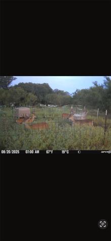 Tract 3 TBD Cr 424 Rochelle TX 76872