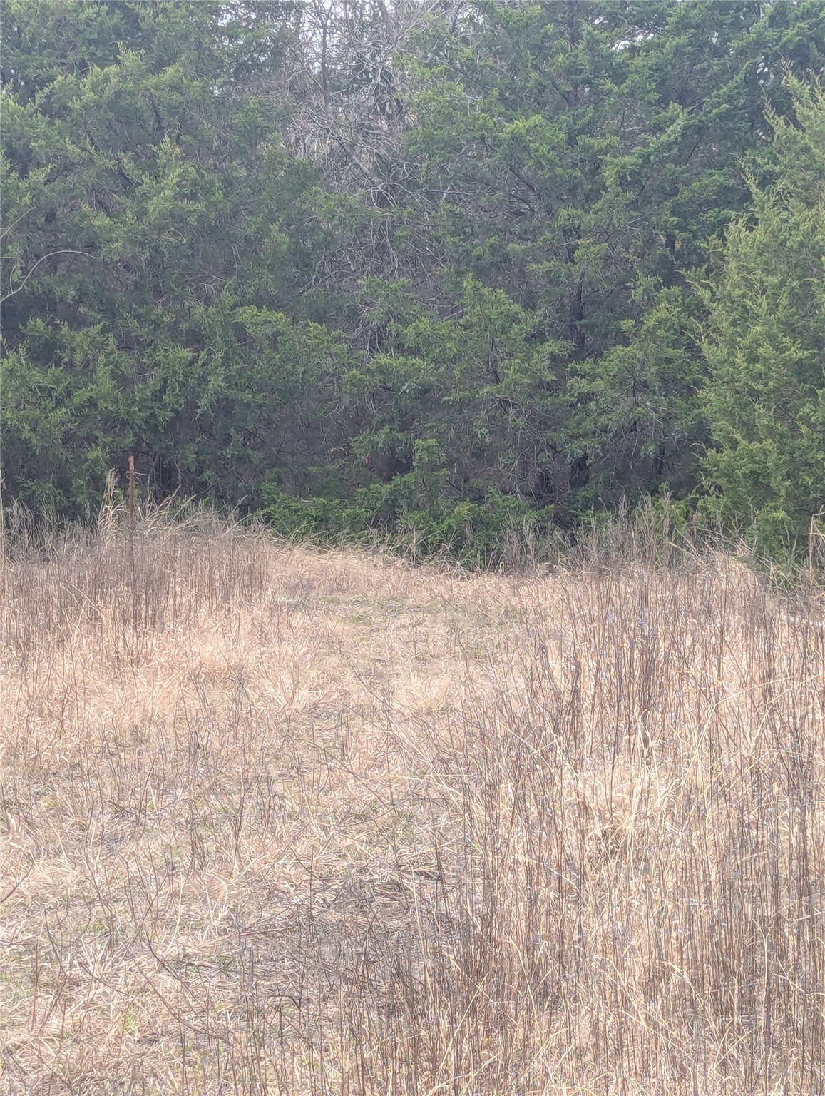 17454 County Road 663 Farmersville TX 75442