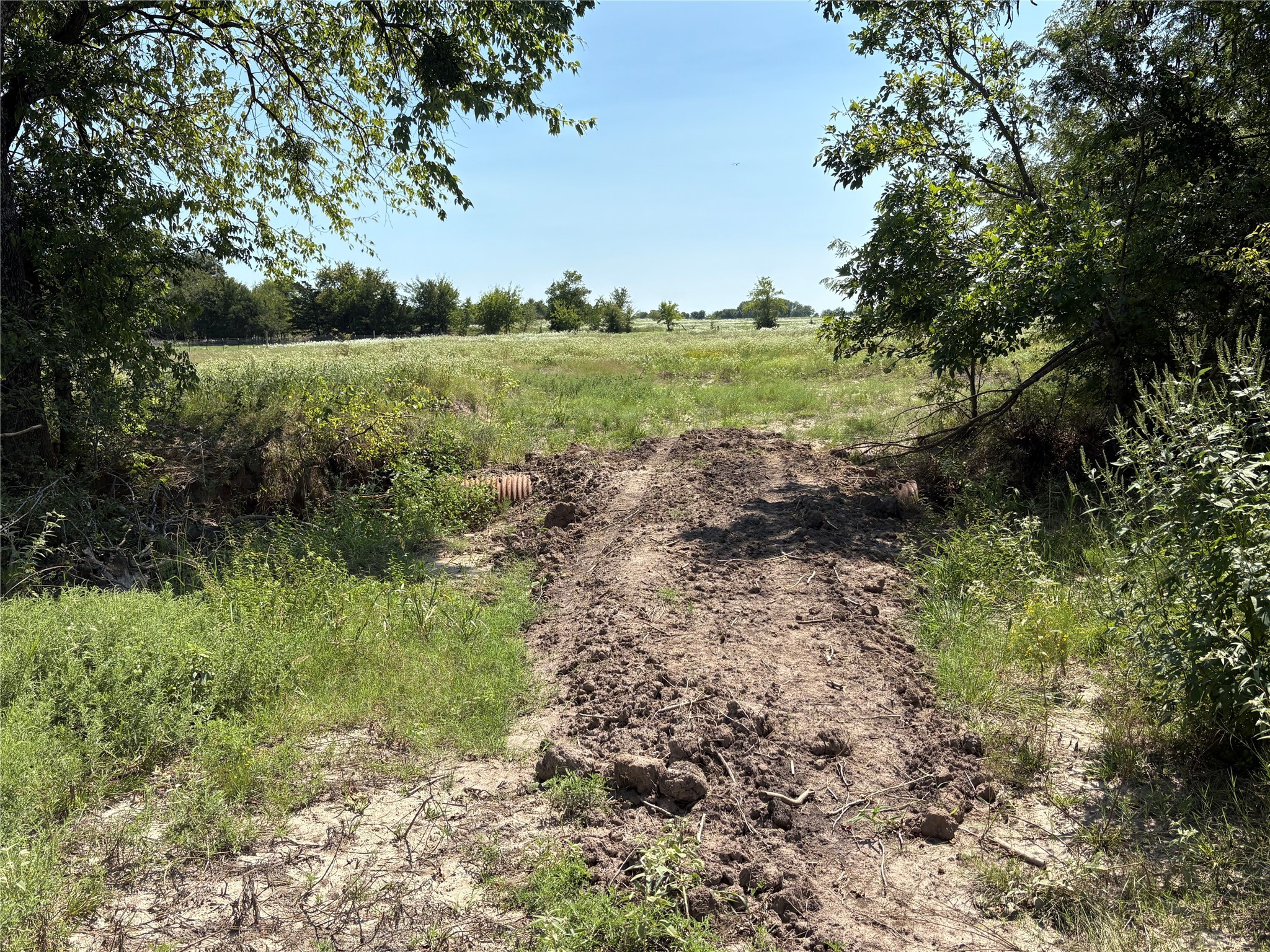 3883 Farm Road 71 W Sulphur Springs TX 75482