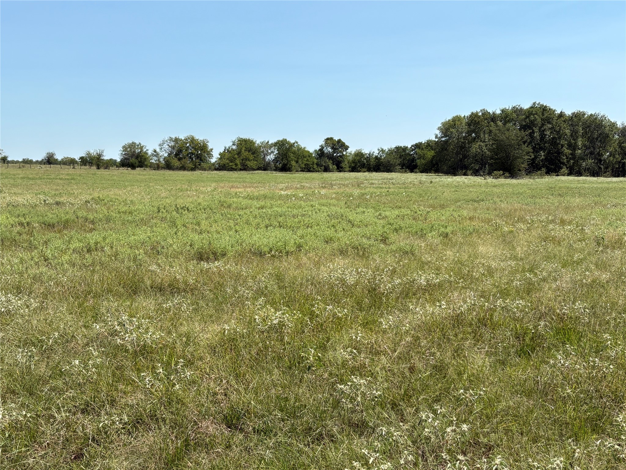 3883 Farm Road 71 W Sulphur Springs TX 75482