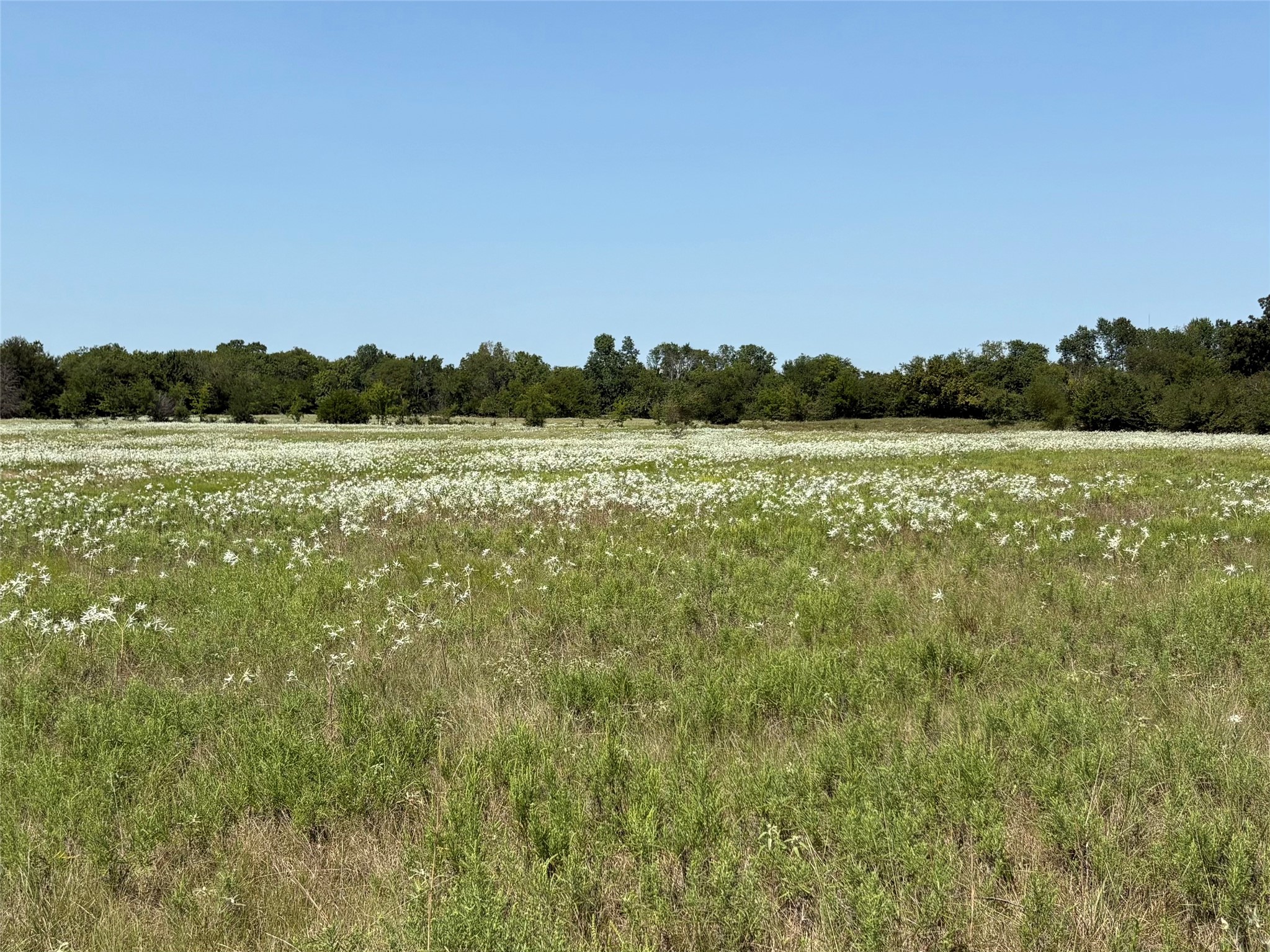 3883 Farm Road 71 W Sulphur Springs TX 75482