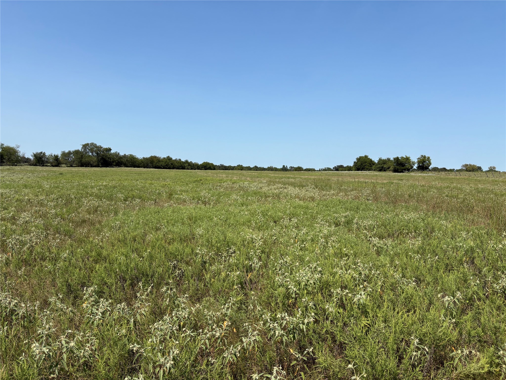 3883 Farm Road 71 W Sulphur Springs TX 75482