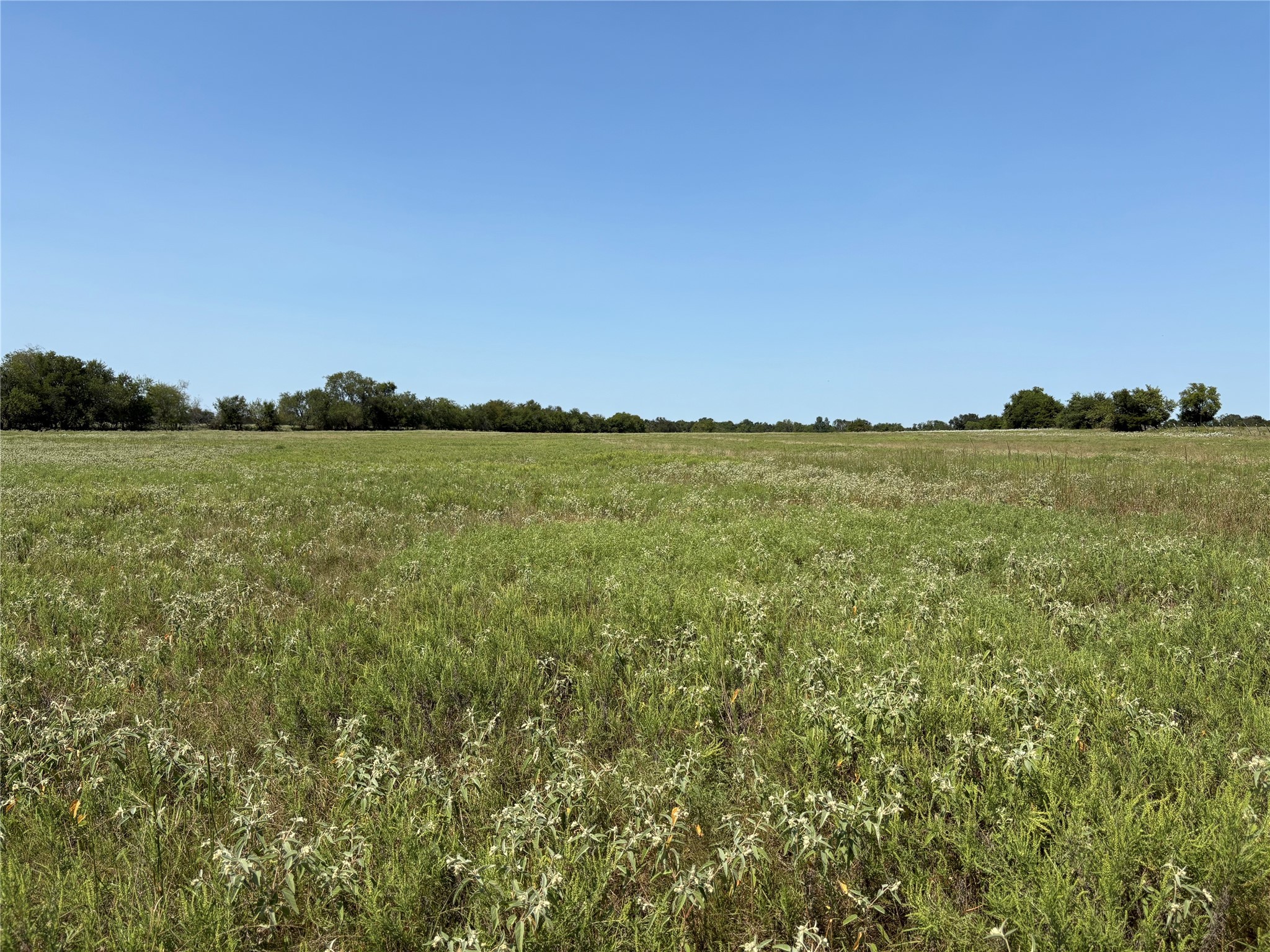 3883 Farm Road 71 W Sulphur Springs TX 75482