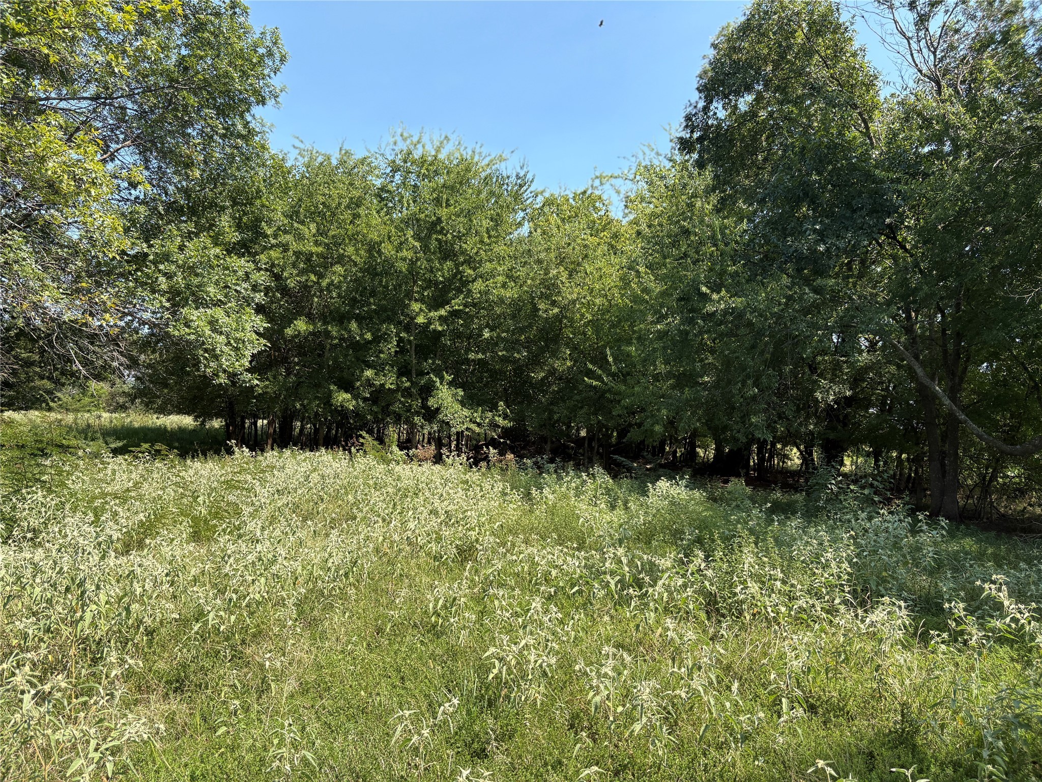 3883 Farm Road 71 W Sulphur Springs TX 75482