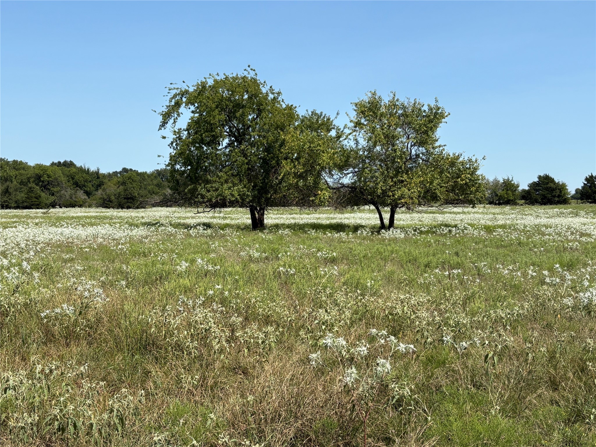 3883 Farm Road 71 W Sulphur Springs TX 75482