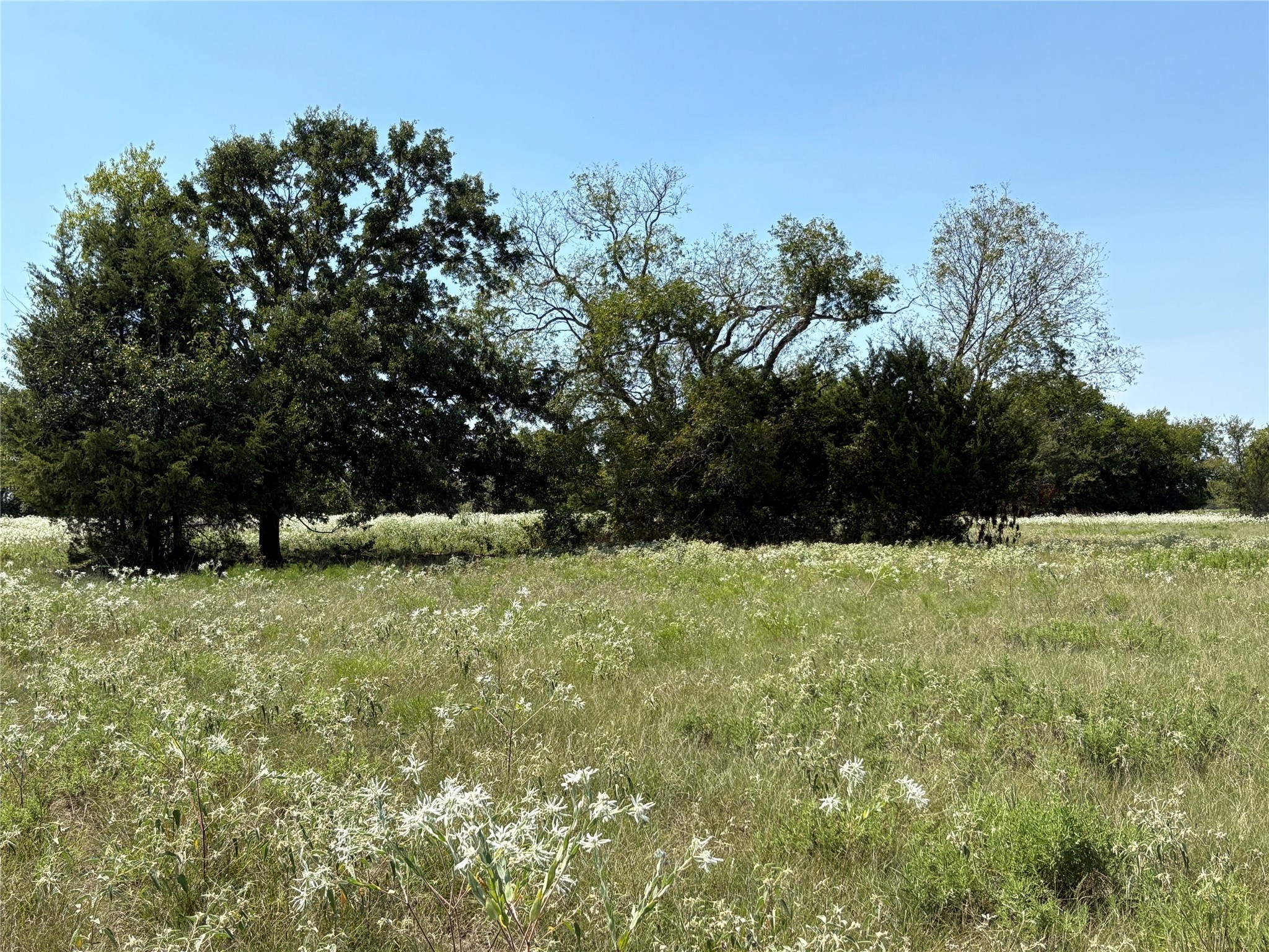 3883 Farm Road 71 W Sulphur Springs TX 75482