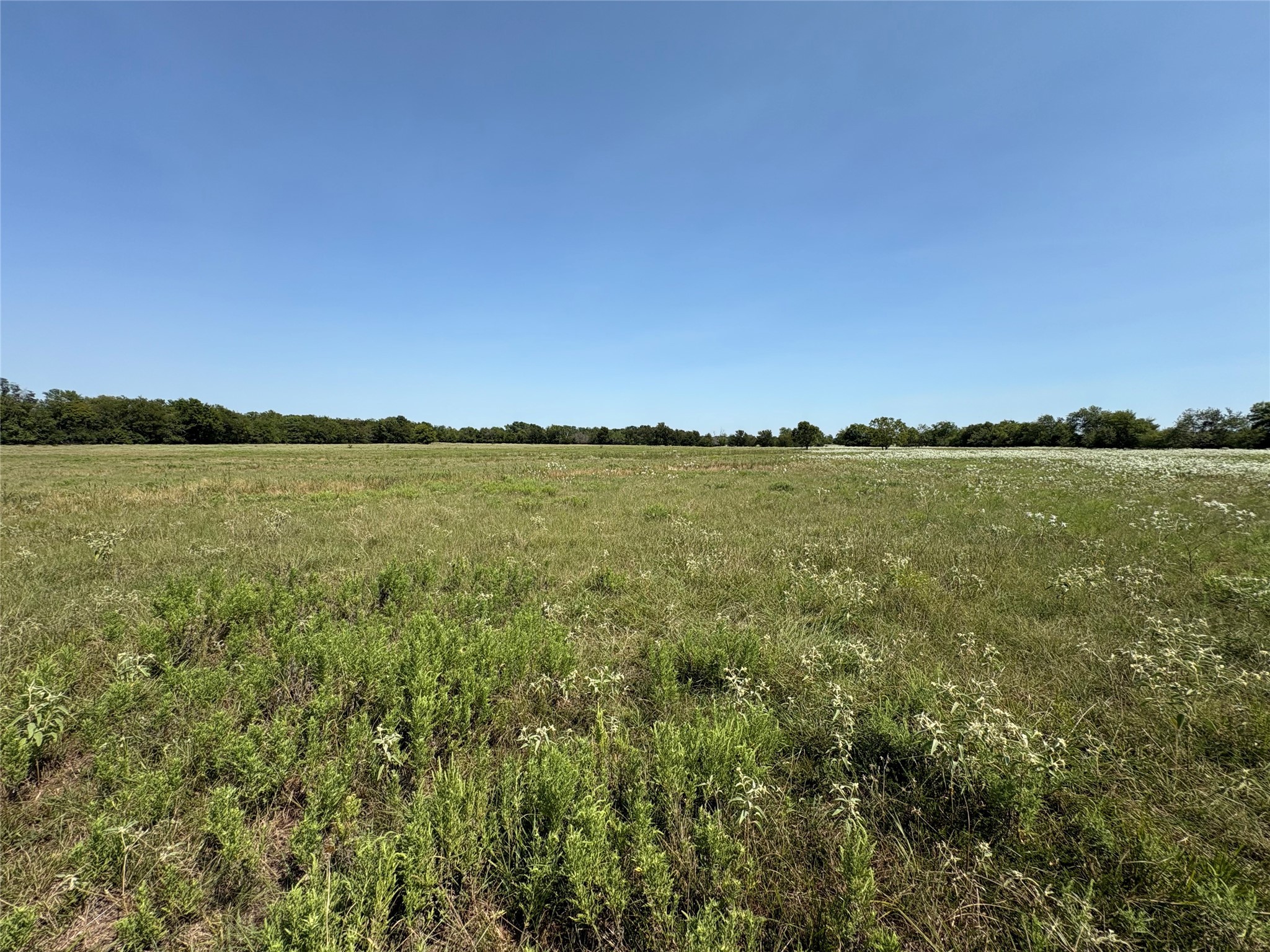3883 Farm Road 71 W Sulphur Springs TX 75482