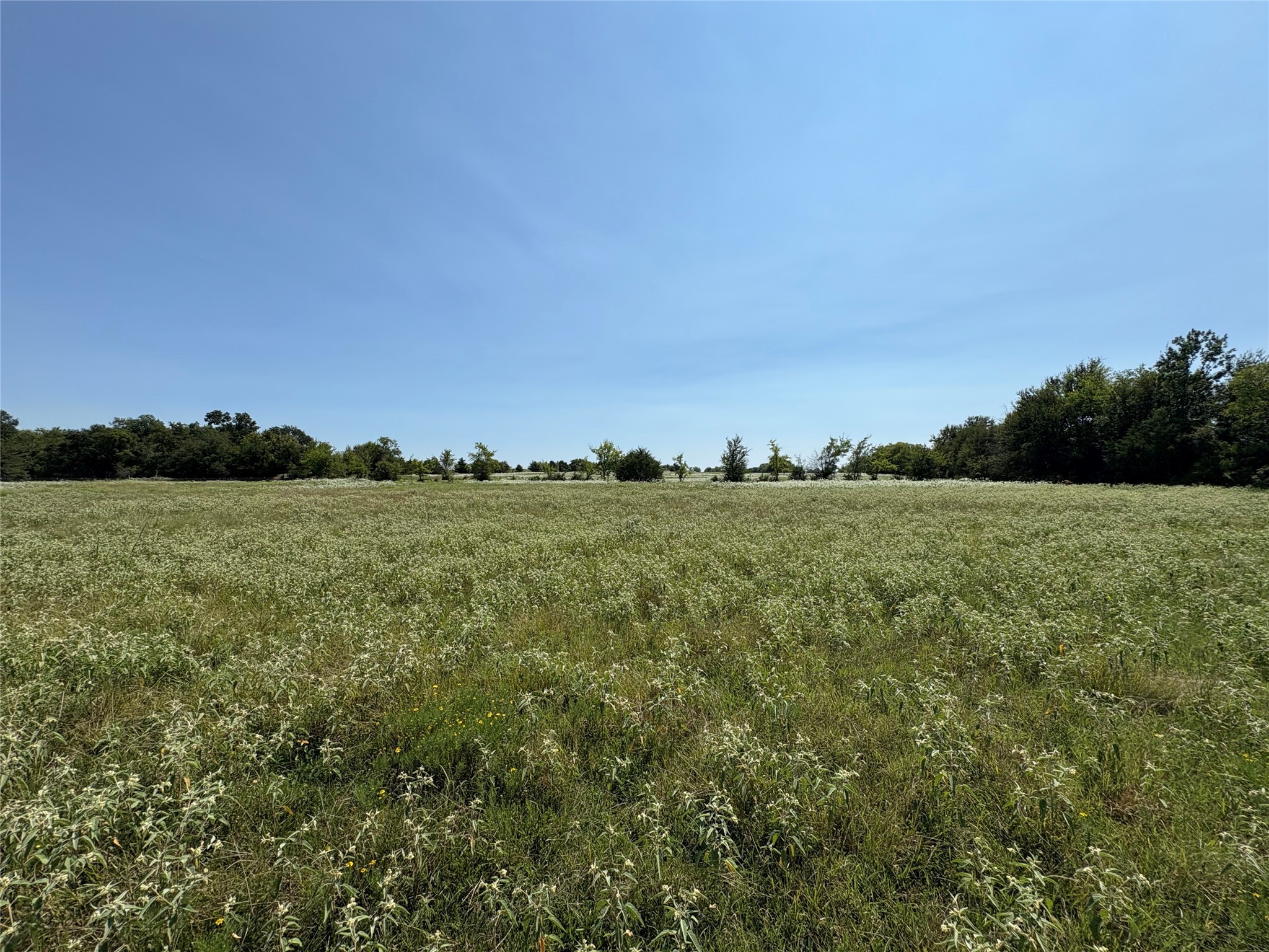 3883 Farm Road 71 W Sulphur Springs TX 75482