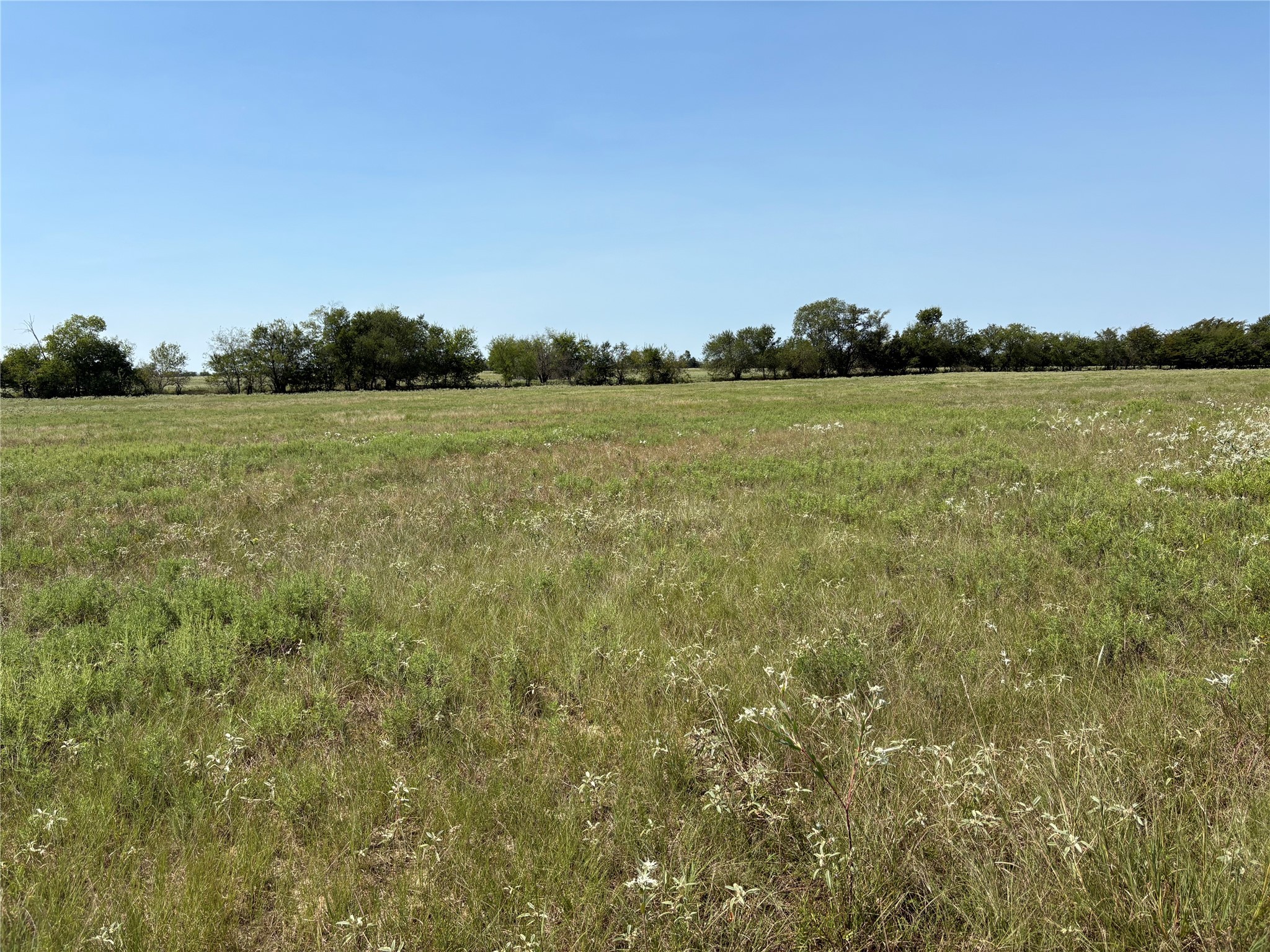 3883 Farm Road 71 W Sulphur Springs TX 75482