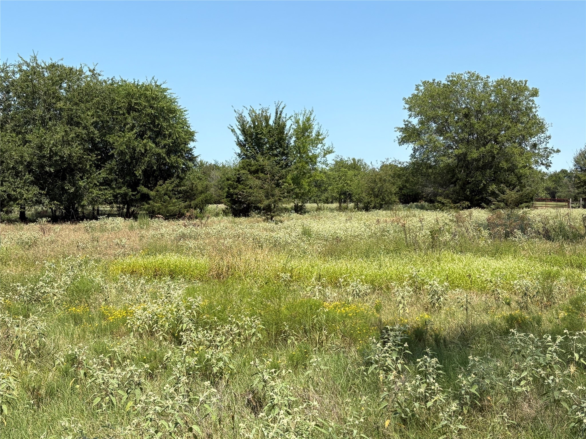 3883 Farm Road 71 W Sulphur Springs TX 75482