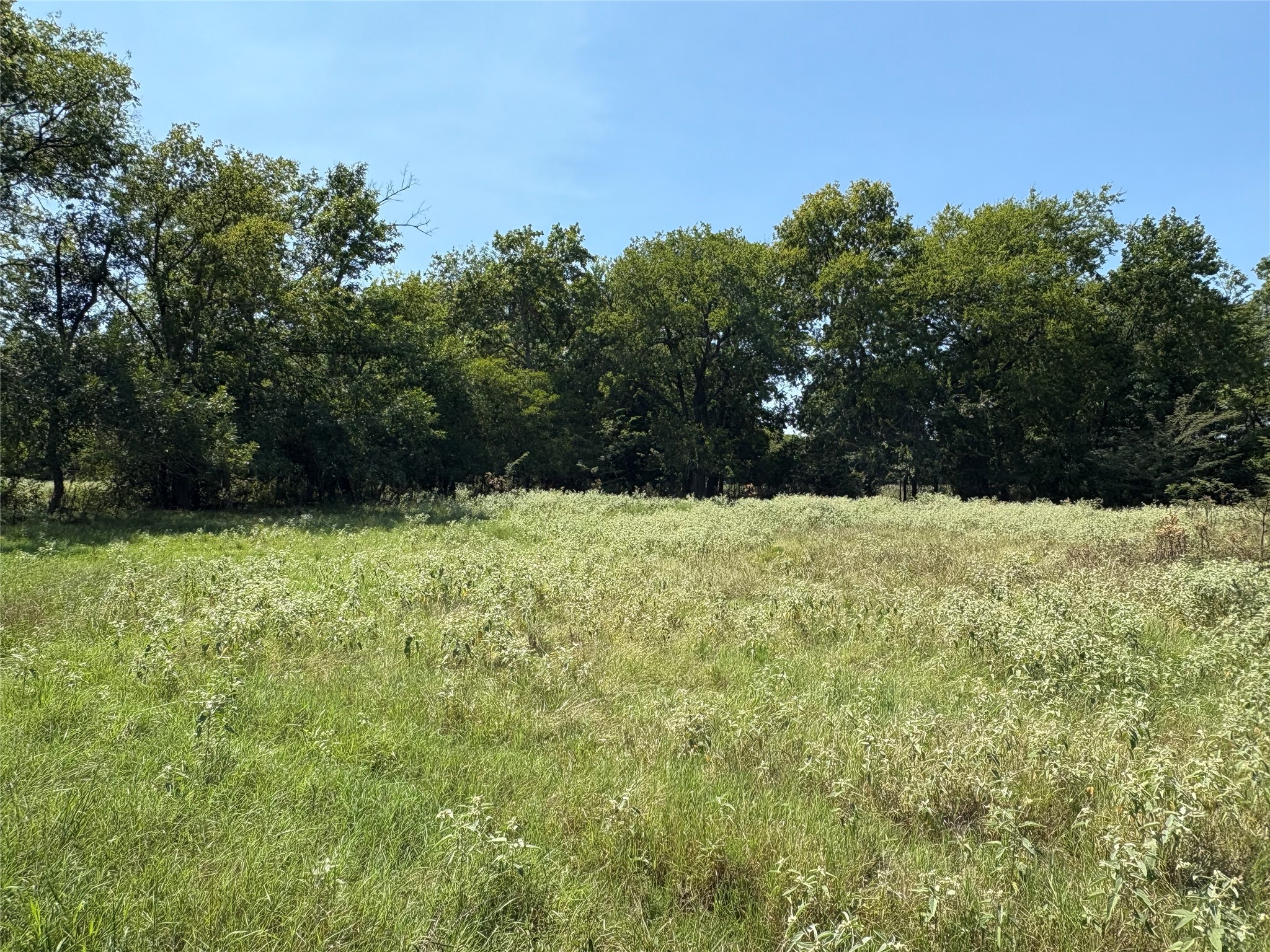 3883 Farm Road 71 W Sulphur Springs TX 75482