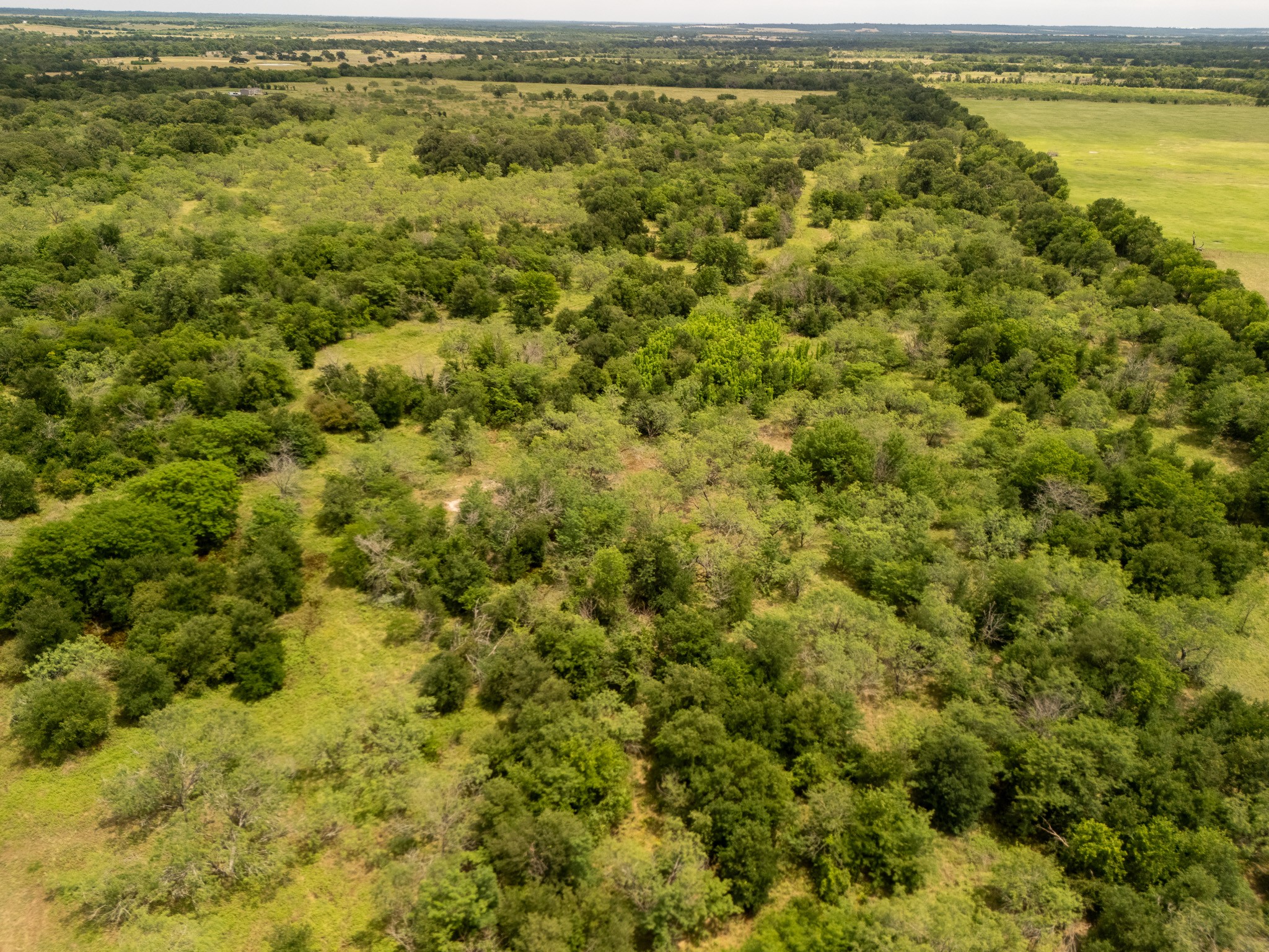 Tract 4 County Road 159 Riesel TX 76682