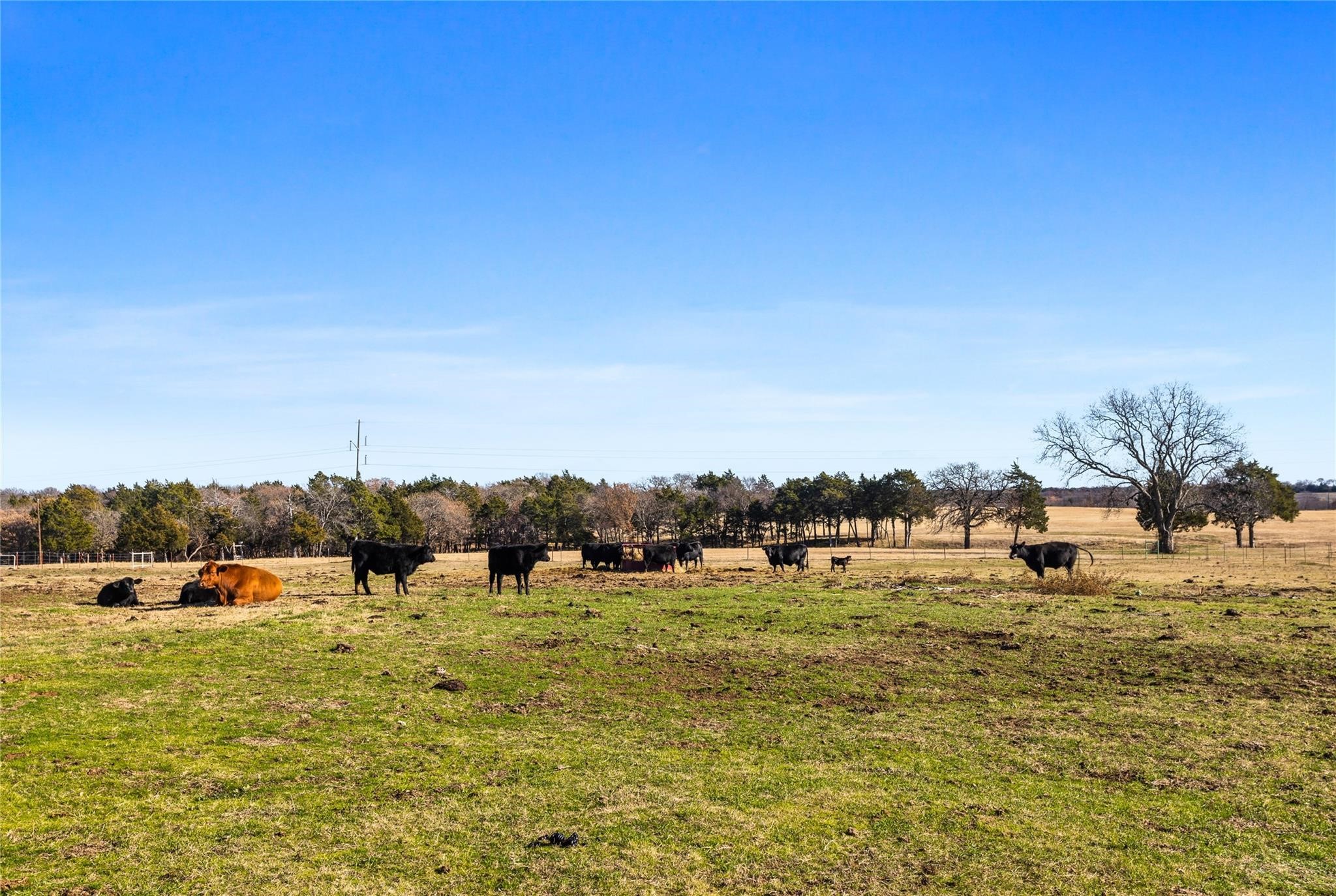 T-13415 Us Highway 377 Gordonville TX 76245