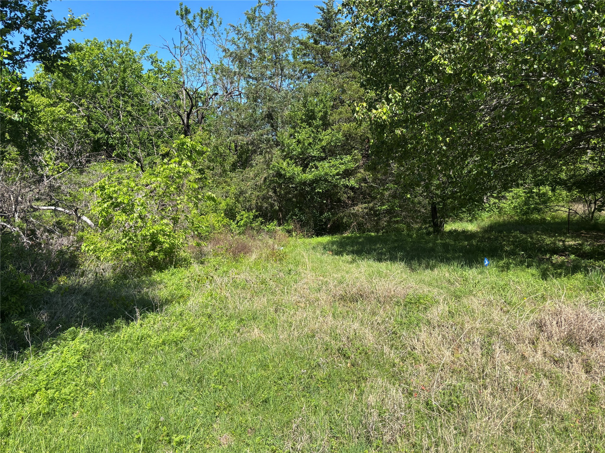 000 Ridgetop Court Blue Ridge TX 75424