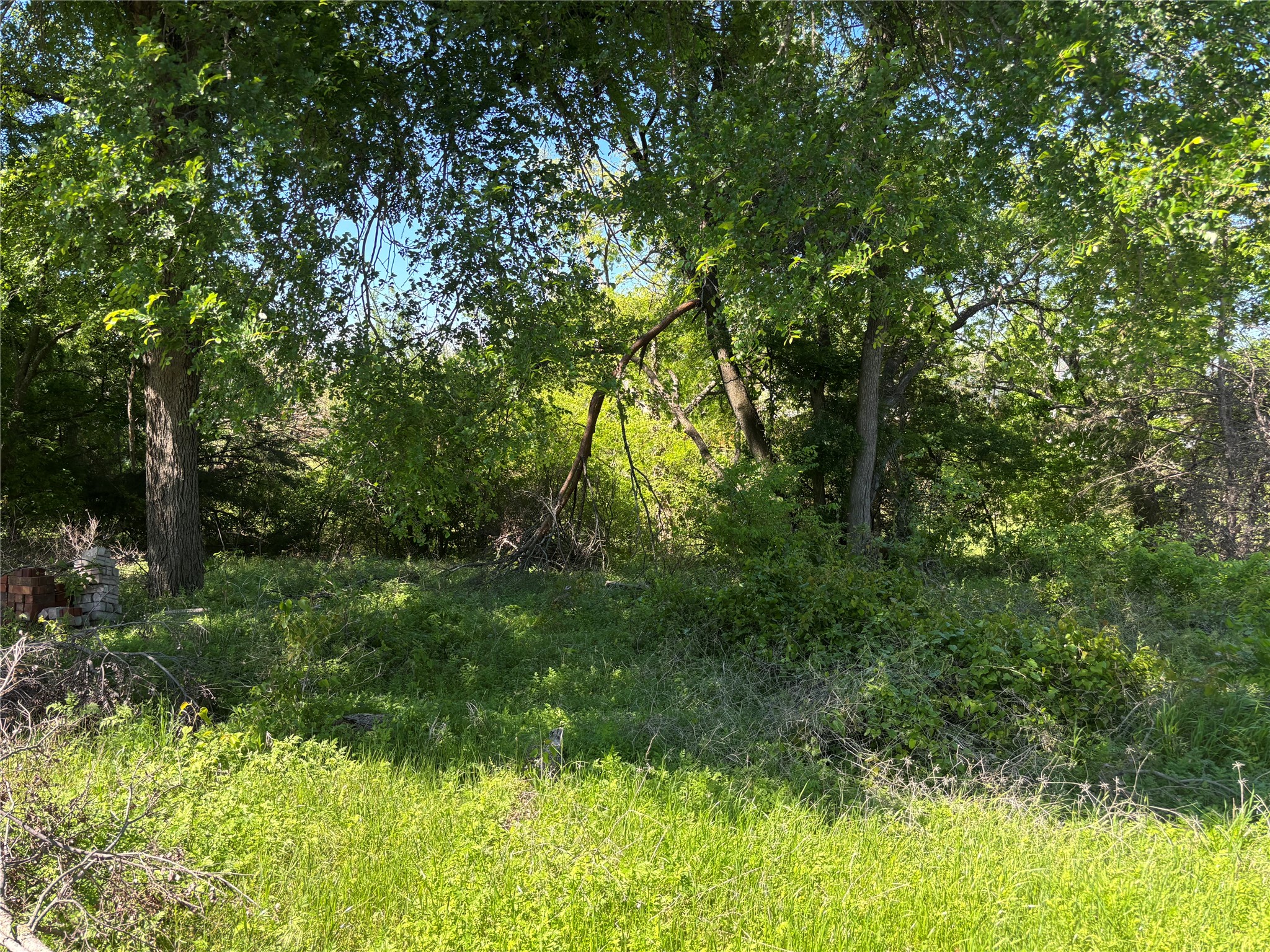 000 Ridgetop Court Blue Ridge TX 75424