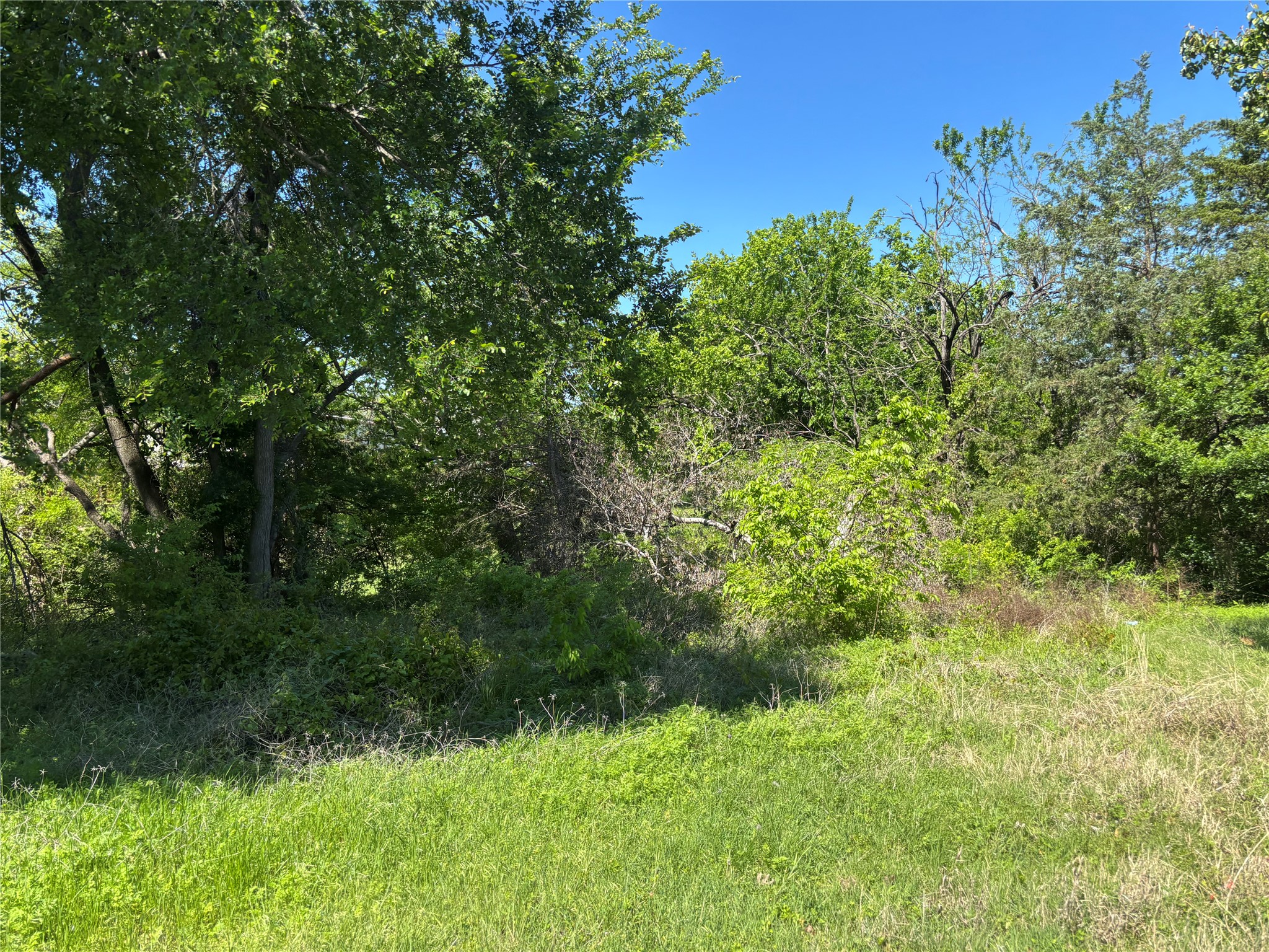 000 Ridgetop Court Blue Ridge TX 75424