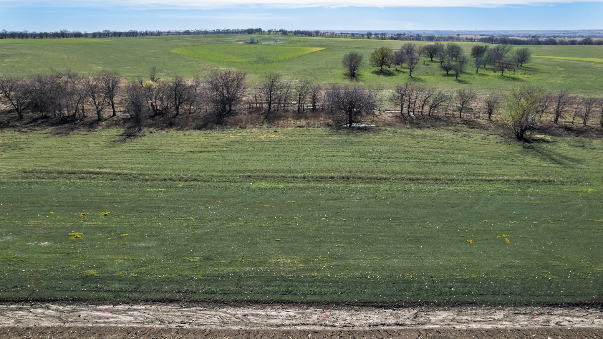 Tbd Bois D'arc Lane Ponder TX 76259