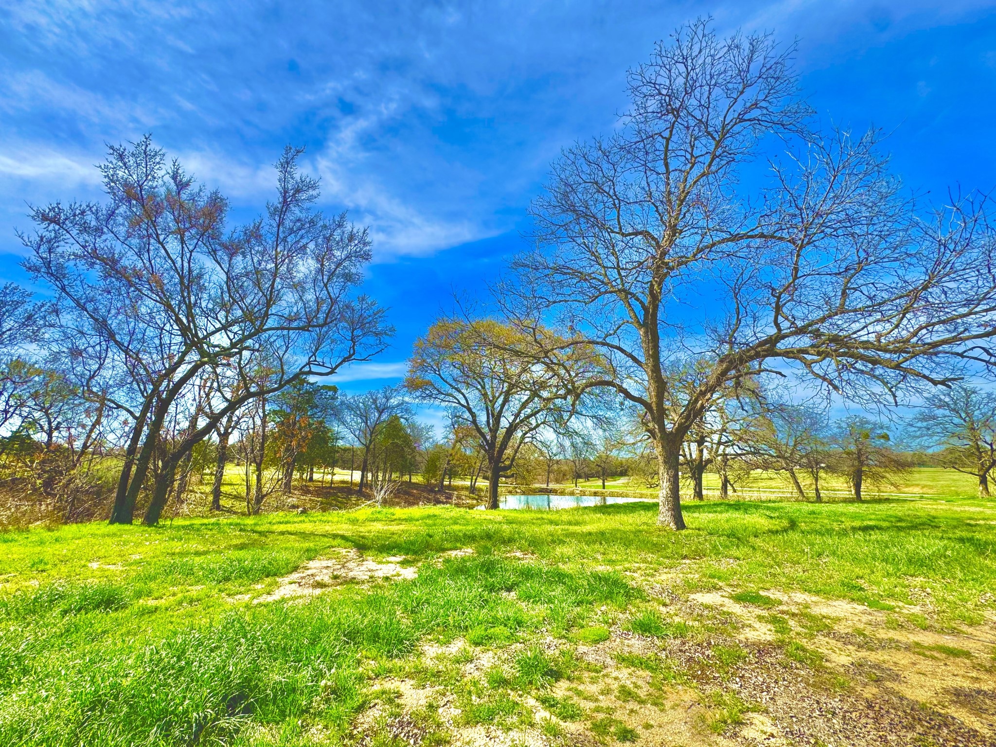 112 Lakelands Court Gordonville TX 76245