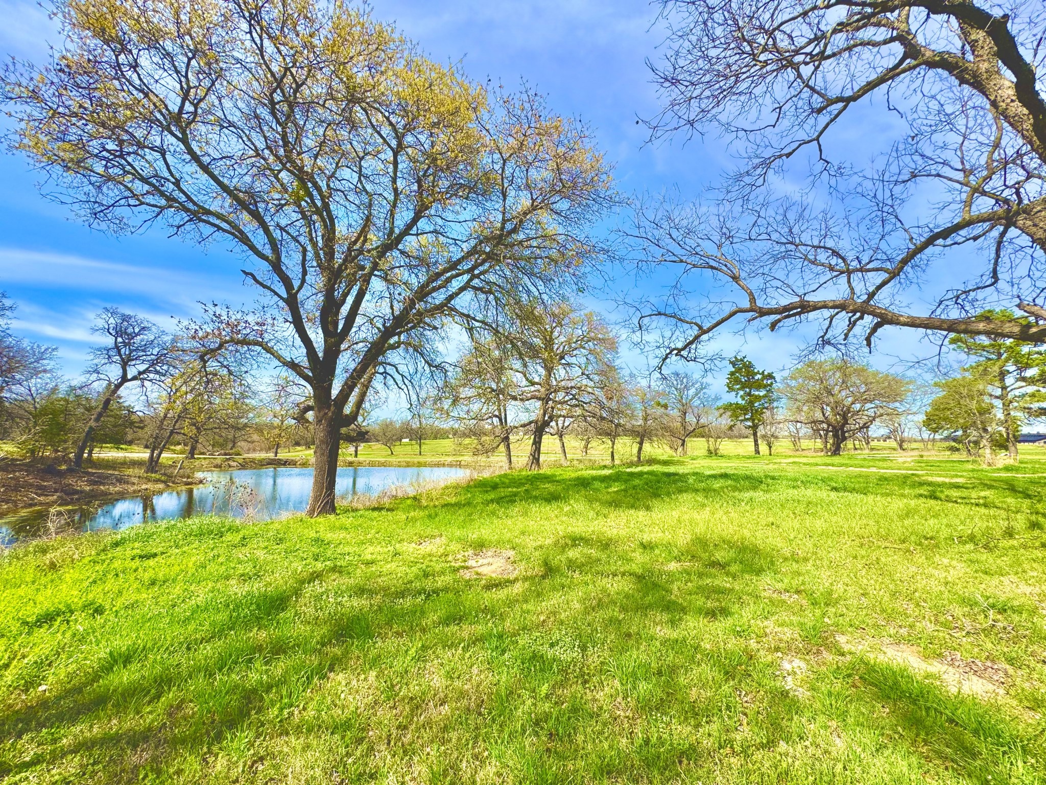 112 Lakelands Court Gordonville TX 76245